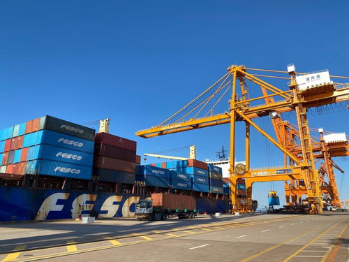 高水平开放助推温州高质量发展 集装箱见证外贸繁荣